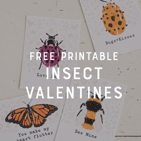 Insect Valentines from Fairy Notes