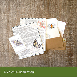 3 Months of Fairy Mail from Violet - the insect loving fairy