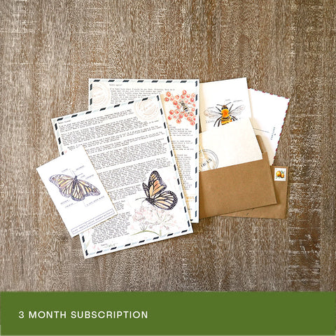 3 Months of Fairy Mail from Violet - the insect loving fairy